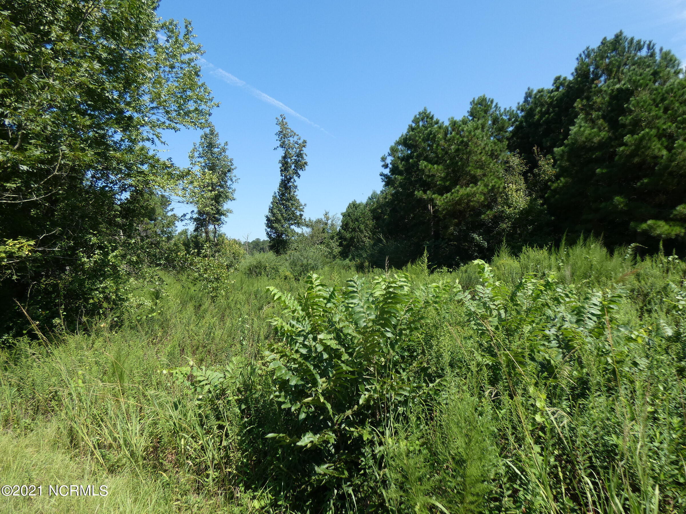 2 Devond Tew Road Roseboro, NC 28382 - Photo 4 of 5 Cutover and woodland.