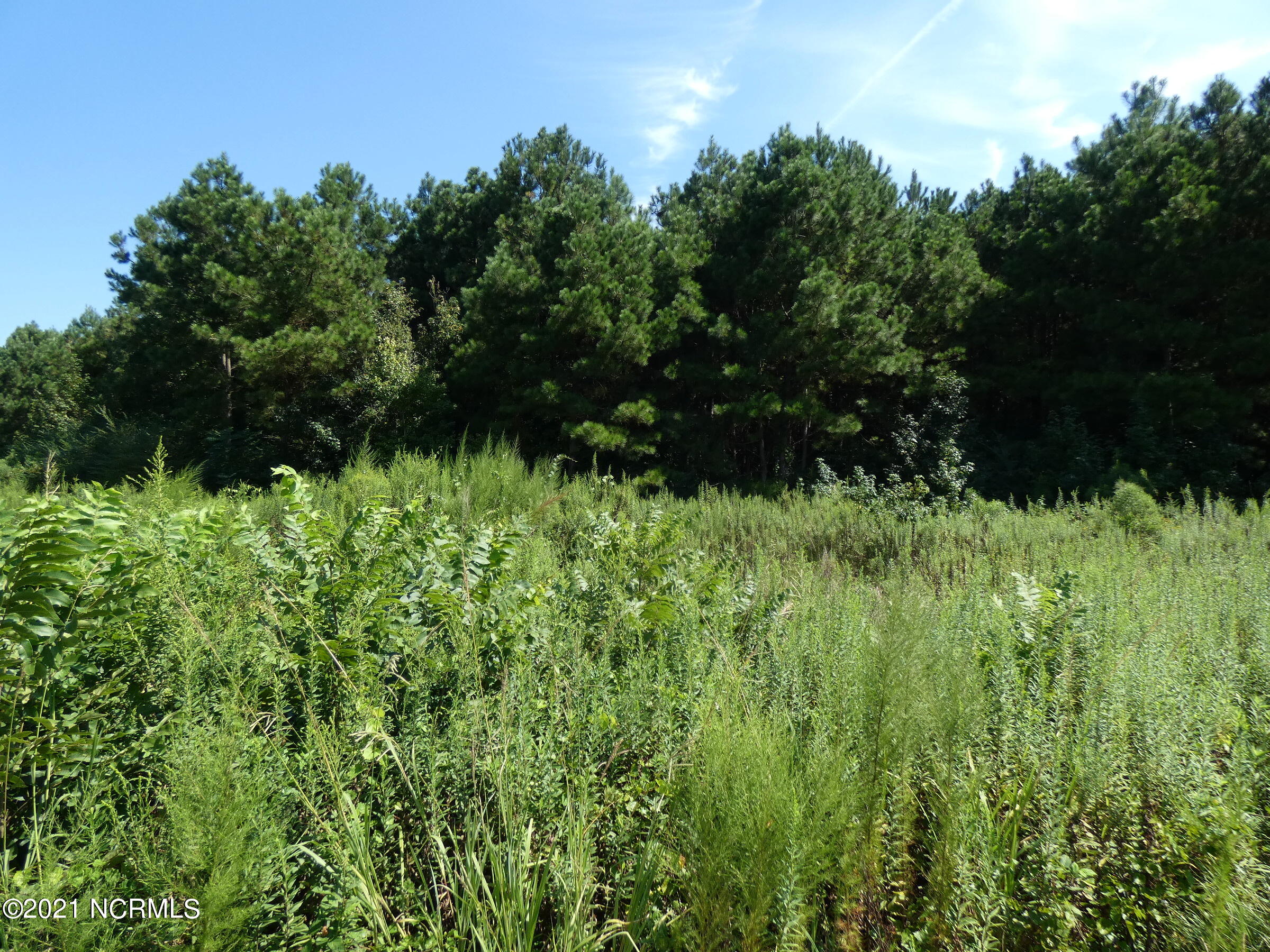 2 Devond Tew Road Roseboro, NC 28382 - Photo 5 of 5 Cutover and woodland.