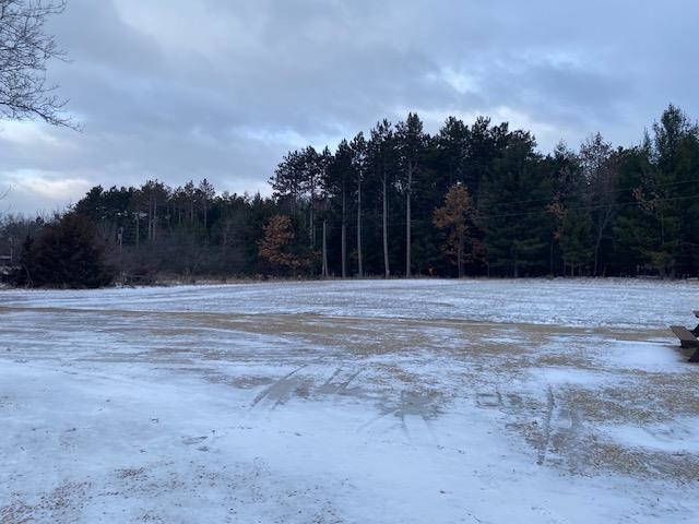 2520 Ash Street Grand Marsh, WI 53936 - Photo 17 of 20