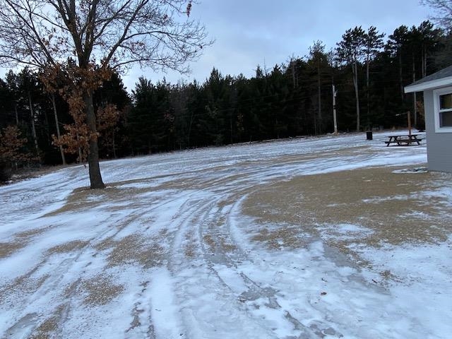 2520 Ash Street Grand Marsh, WI 53936 - Photo 7 of 20