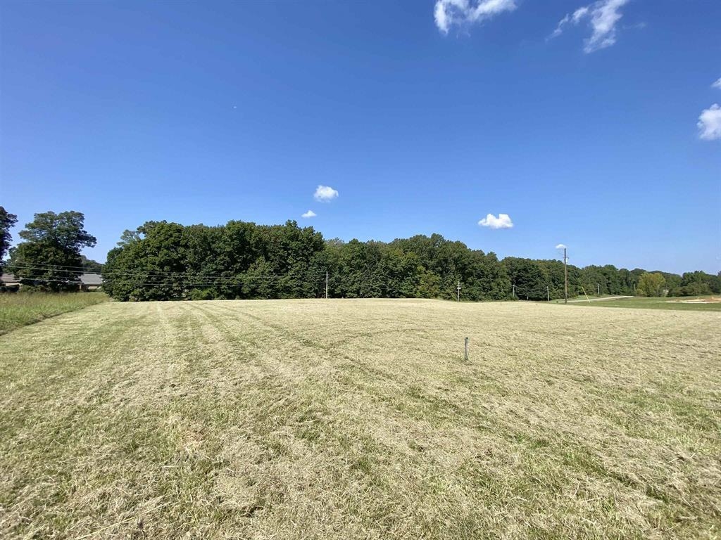 2615 Tomlin Road Somerville, TN 38068 - Photo 2 of 2 Gallery Image 2