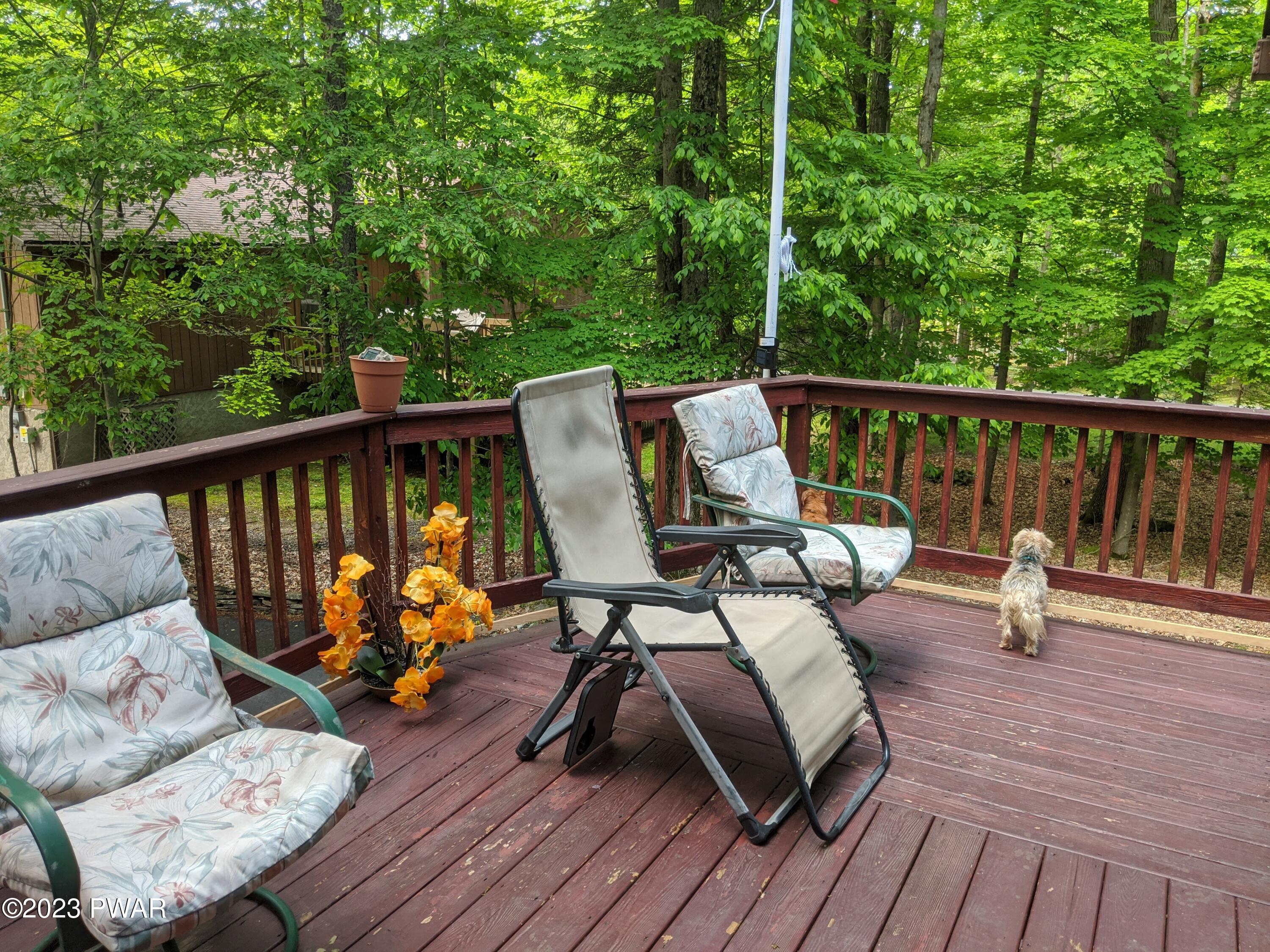 365 Northgate Road Lake Ariel, PA 18436 - Photo 7 of 68 a view of a deck with furniture