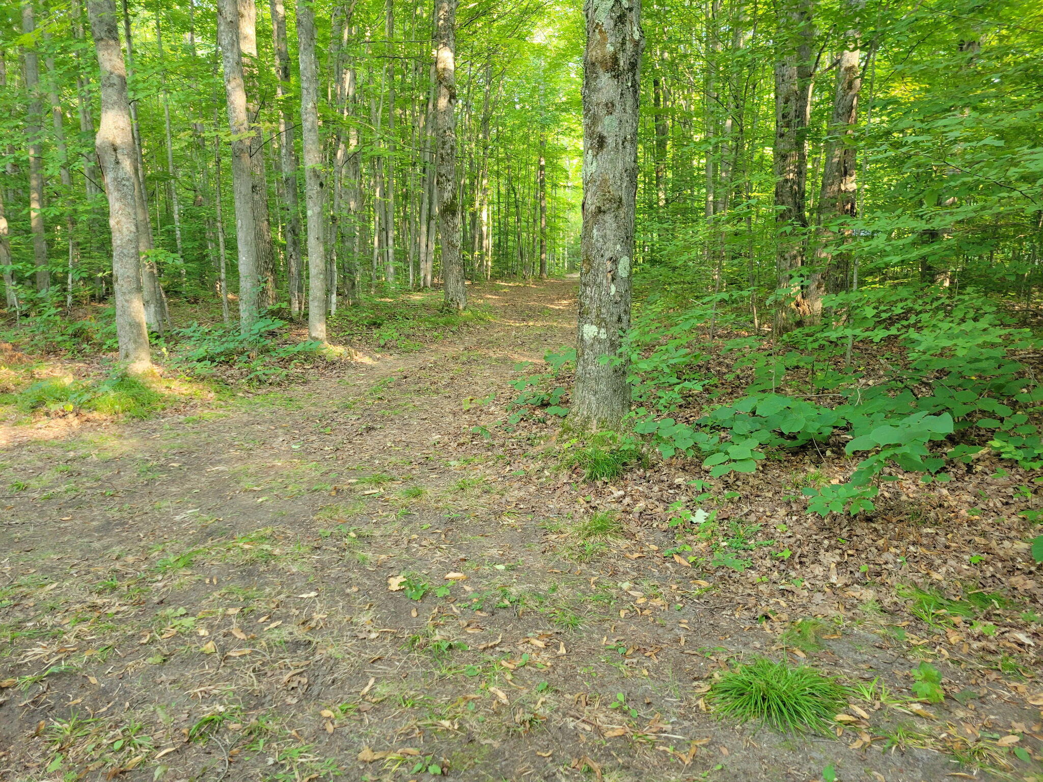 5-acres North Valley Road Frederic, MI 49733 - Photo 6 of 13 Trails