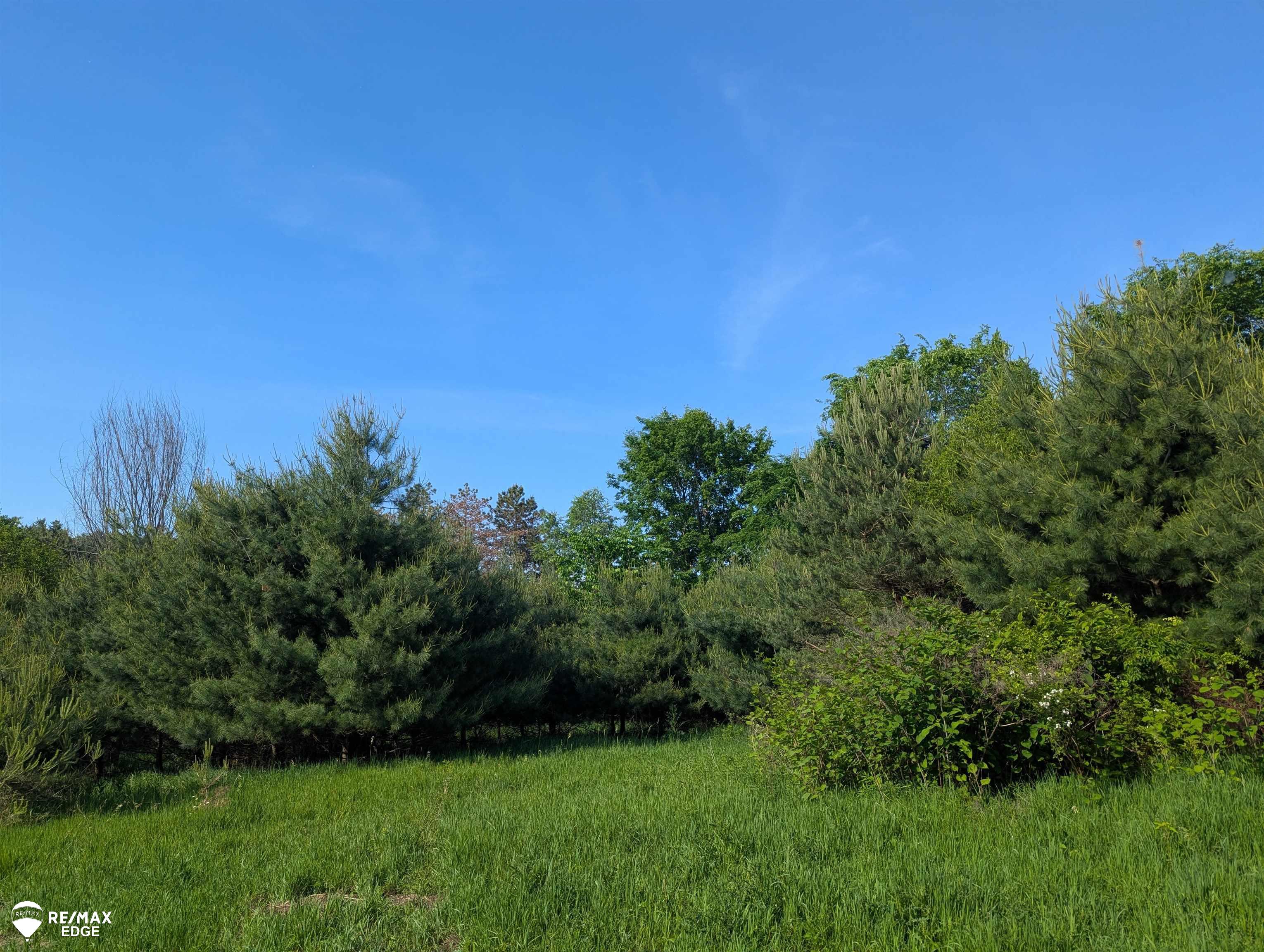 6283 Hart Lake Road Otter Lake, MI 48464 - Photo 12 of 17