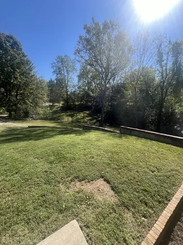 a view of a green yard