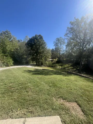 a view of a yard with a tree