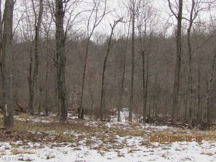 Bailey Road Walhonding, OH 43843 - Photo 5 of 5