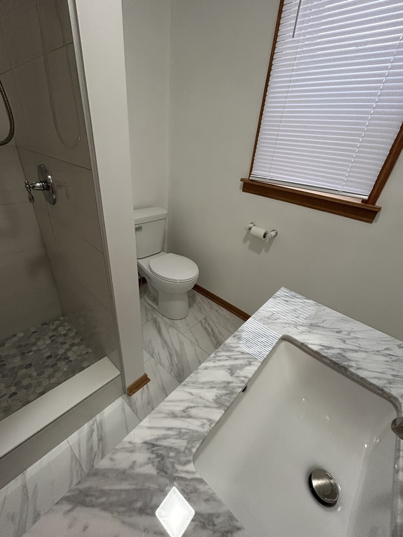 2624 West Walton Street, Unit 1 Chicago, IL 60622 - Photo 15 of 23 a view of bathroom