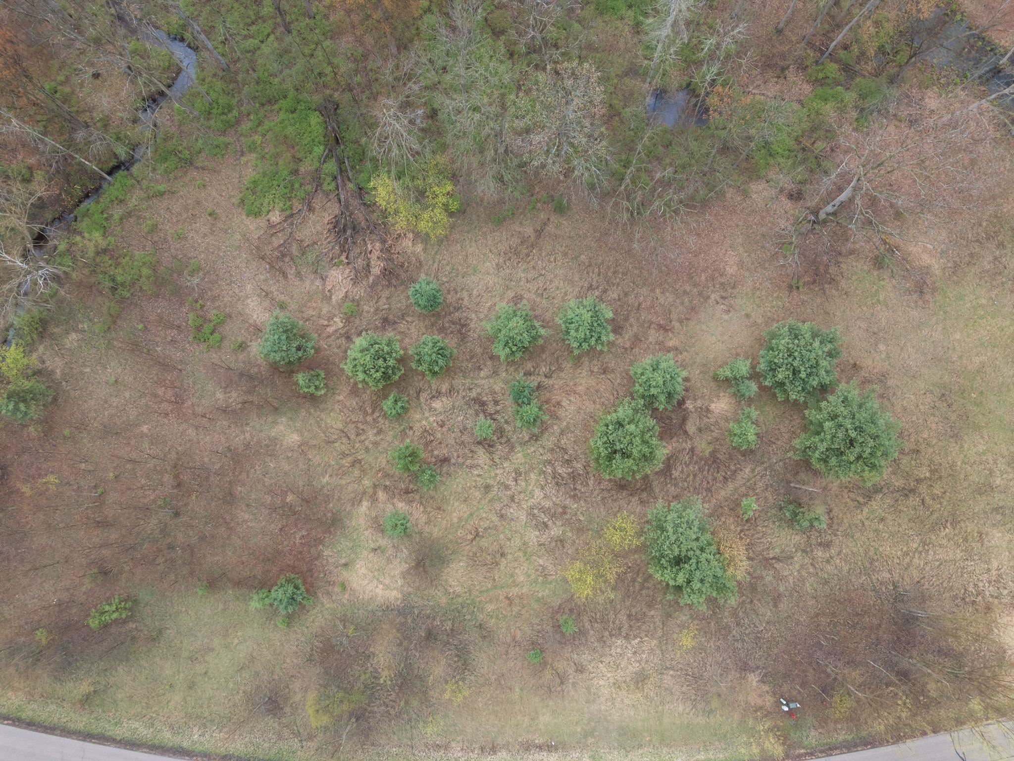 Channel Trace, Unit 9 Shawano, WI 54166 - Photo 13 of 13