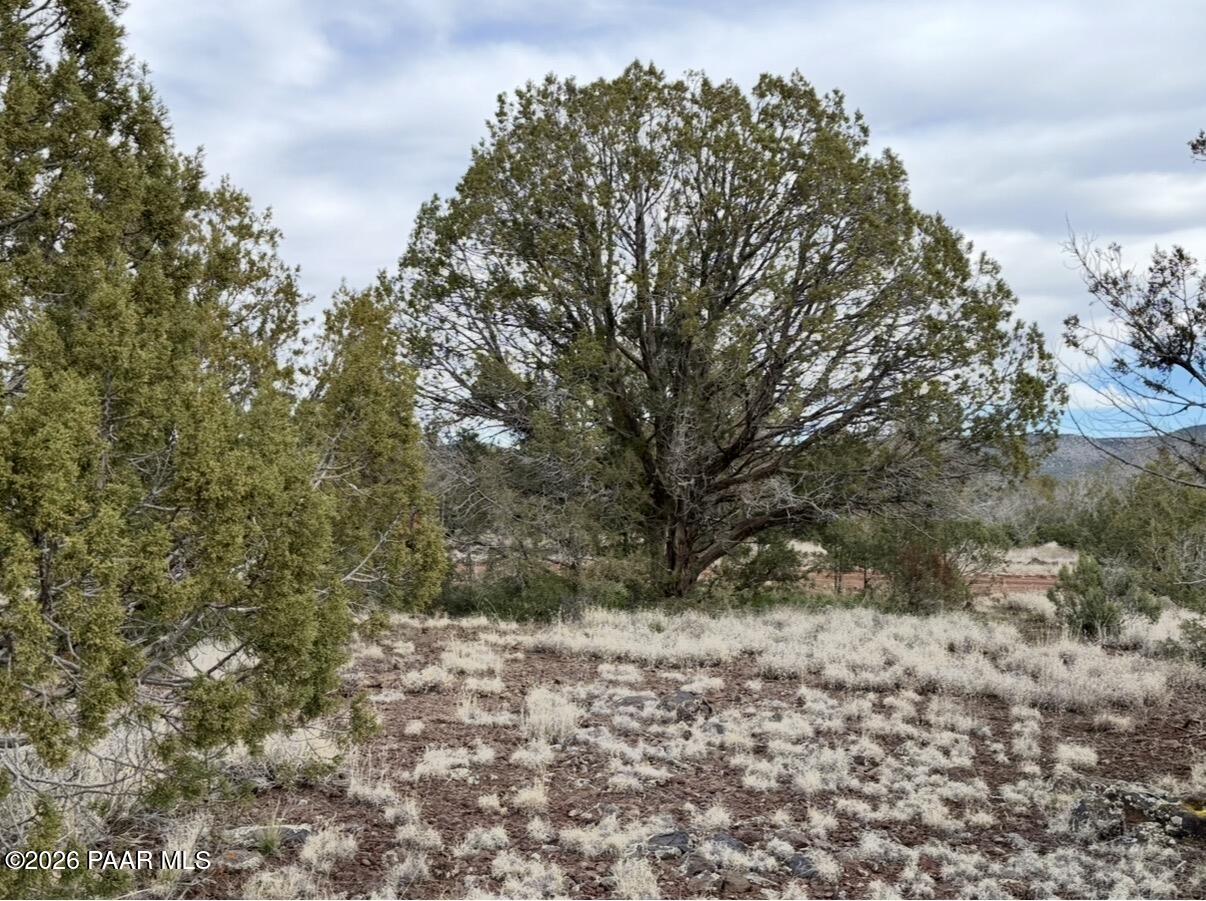 1224 West Ridgeview Drive Williams, AZ 86046 - Photo 2 of 8 IMG_1582