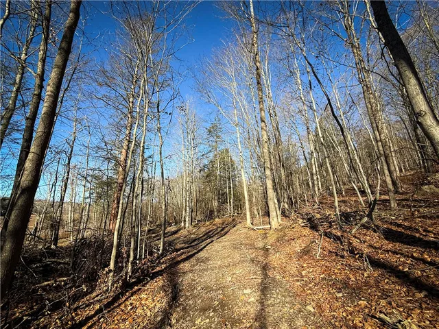$79,900 | Lot-02 Langford Creek Road, Van Etten, NY 14889