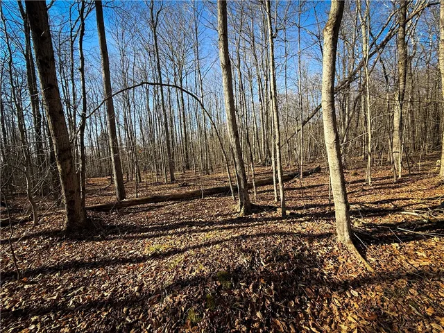 $79,900 | Lot-02 Langford Creek Road, Van Etten, NY 14889