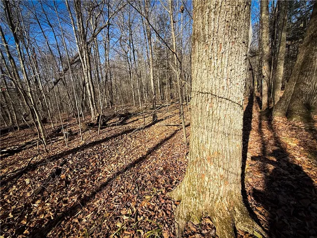 $79,900 | Lot-02 Langford Creek Road, Van Etten, NY 14889