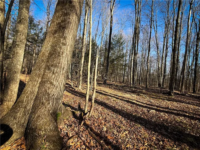 $79,900 | Lot-02 Langford Creek Road, Van Etten, NY 14889