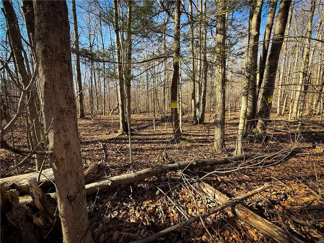 $79,900 | Lot-02 Langford Creek Road, Van Etten, NY 14889