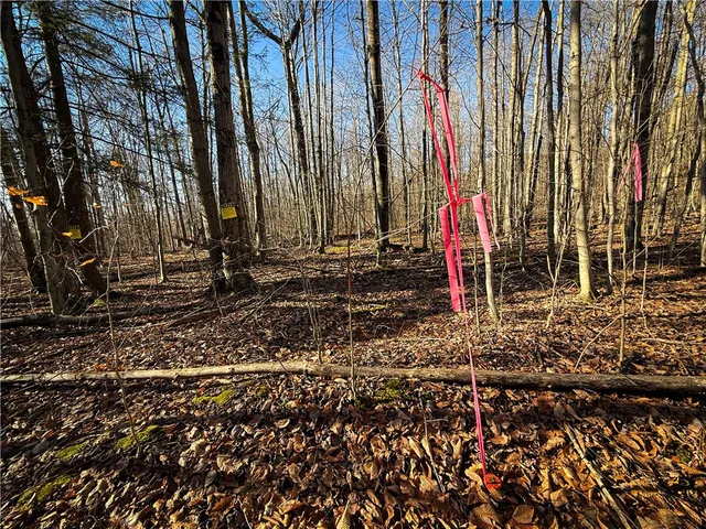 $79,900 | Lot-02 Langford Creek Road, Van Etten, NY 14889