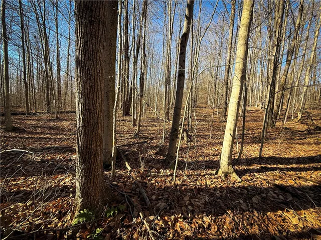 $79,900 | Lot-02 Langford Creek Road, Van Etten, NY 14889