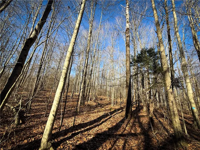 $79,900 | Lot-02 Langford Creek Road, Van Etten, NY 14889