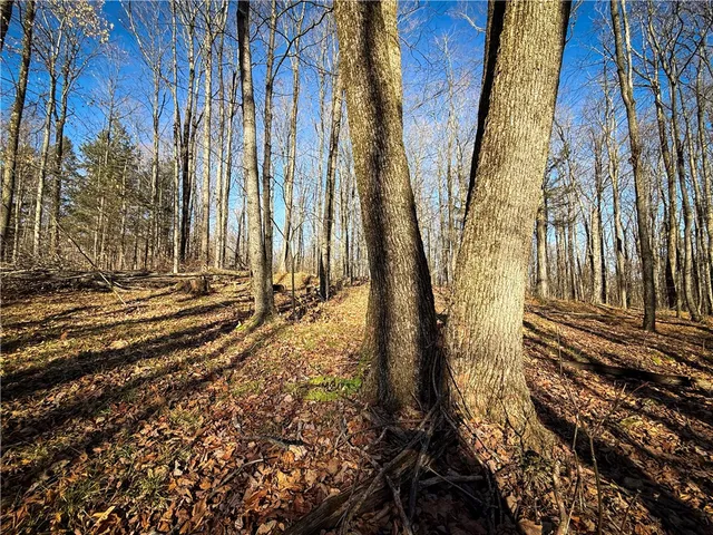 $79,900 | Lot-02 Langford Creek Road, Van Etten, NY 14889