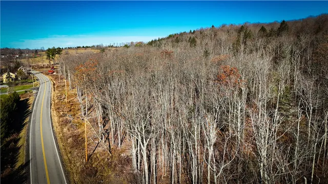 $79,900 | Lot-02 Langford Creek Road, Van Etten, NY 14889