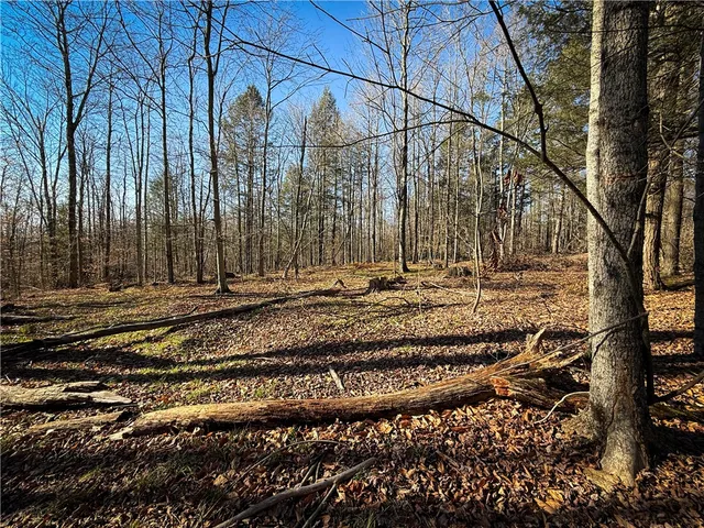 $79,900 | Lot-02 Langford Creek Road, Van Etten, NY 14889
