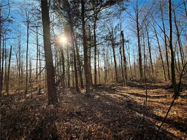 $79,900 | Lot-02 Langford Creek Road, Van Etten, NY 14889