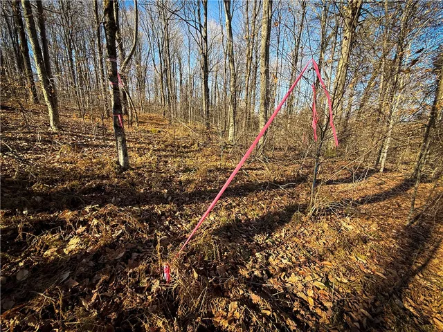 $79,900 | Lot-02 Langford Creek Road, Van Etten, NY 14889