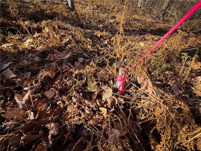 $79,900 | Lot-02 Langford Creek Road, Van Etten, NY 14889