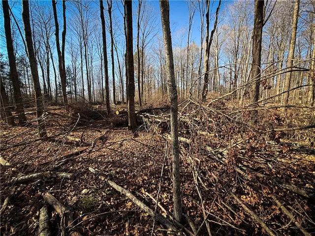 $79,900 | Lot-02 Langford Creek Road, Van Etten, NY 14889