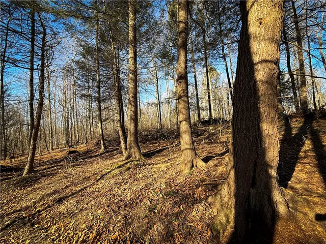 $79,900 | Lot-02 Langford Creek Road, Van Etten, NY 14889
