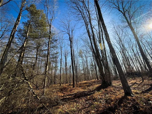 $79,900 | Lot-02 Langford Creek Road, Van Etten, NY 14889