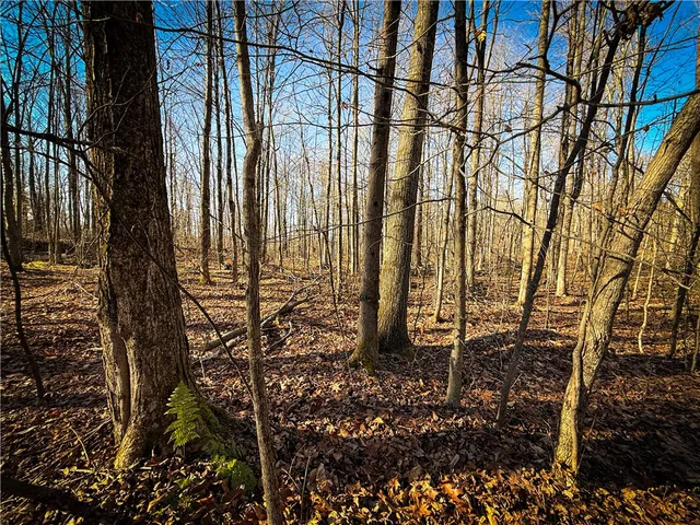 $79,900 | Lot-02 Langford Creek Road, Van Etten, NY 14889