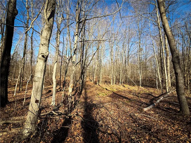 $79,900 | Lot-02 Langford Creek Road, Van Etten, NY 14889