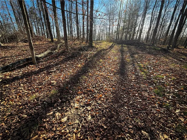 $79,900 | Lot-02 Langford Creek Road, Van Etten, NY 14889