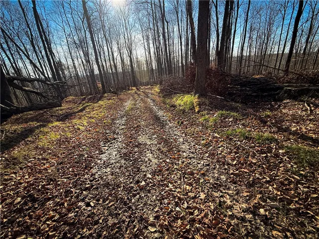 $79,900 | Lot-02 Langford Creek Road, Van Etten, NY 14889
