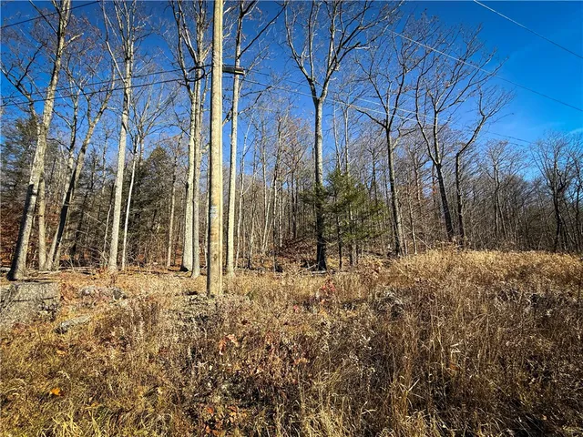 $79,900 | Lot-02 Langford Creek Road, Van Etten, NY 14889