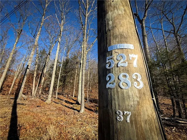 $79,900 | Lot-02 Langford Creek Road, Van Etten, NY 14889