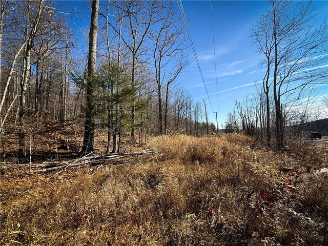 $79,900 | Lot-02 Langford Creek Road, Van Etten, NY 14889