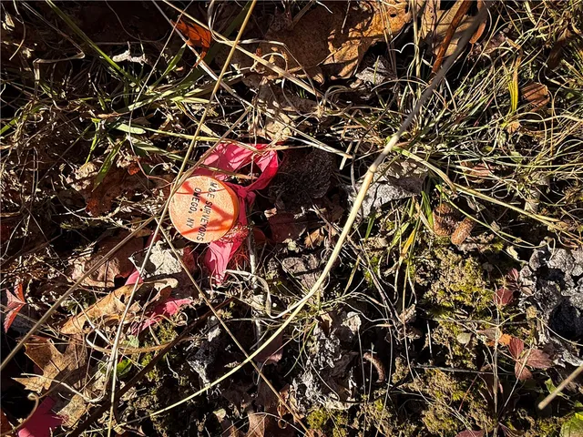 $79,900 | Lot-02 Langford Creek Road, Van Etten, NY 14889