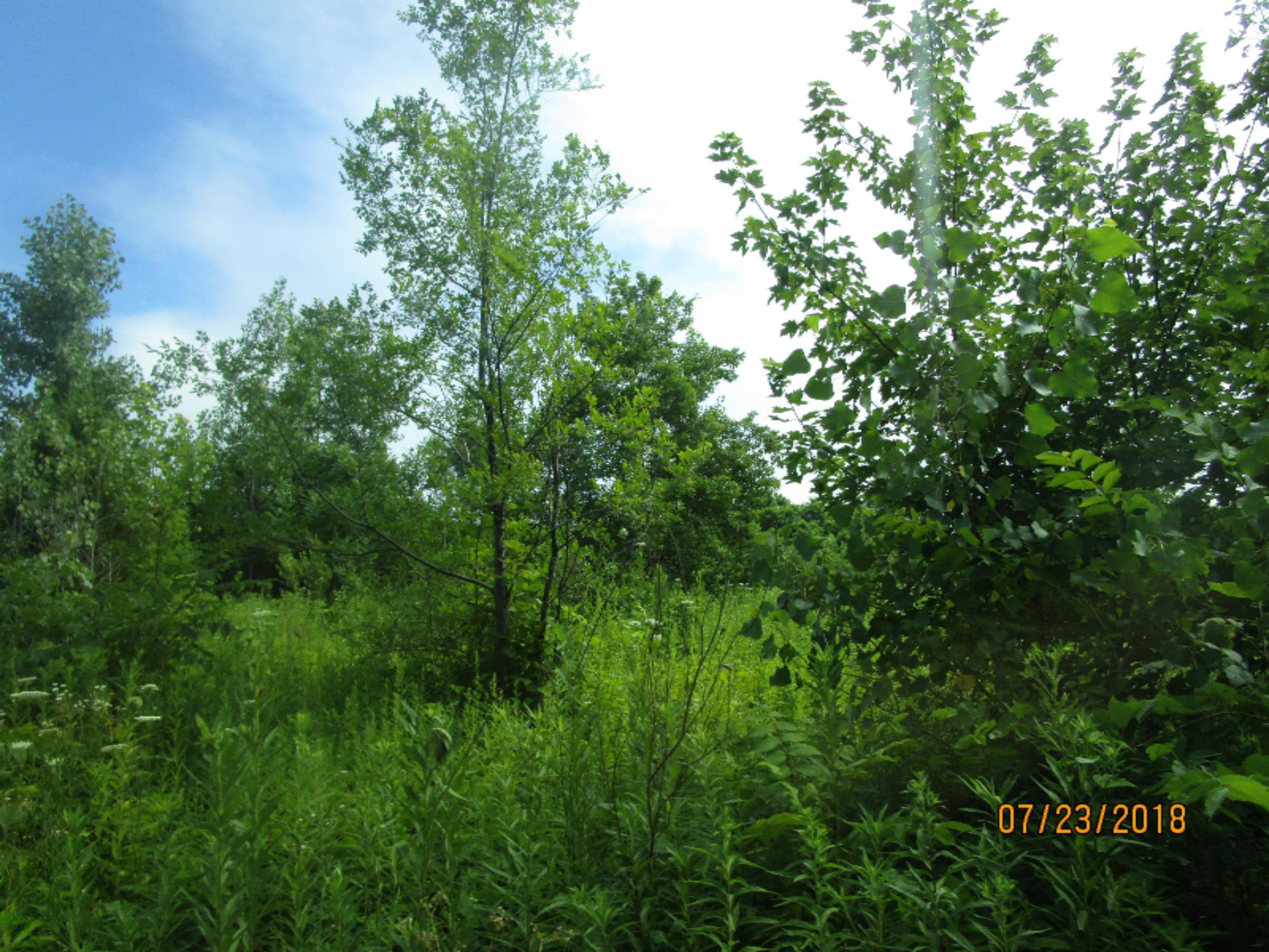 1904 Wickwire Road Benton Harbor, MI 49022 - Photo 1 of 1 Pic 1