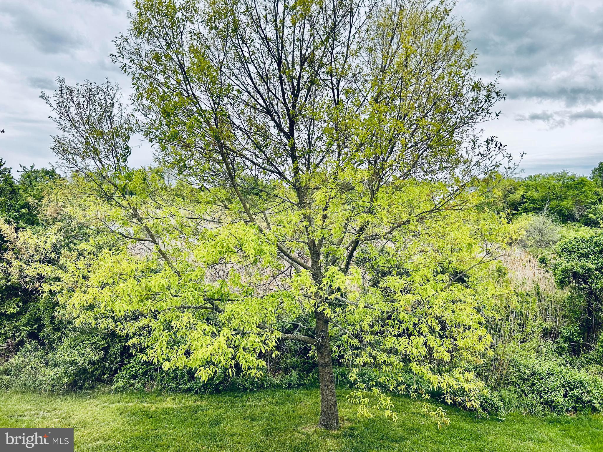 38 Peppermint Drive Lumberton, NJ 08048 - Photo 15 of 16