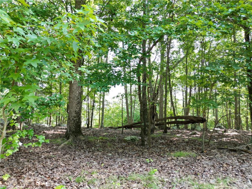 232 Sierra Trace Road Denton, NC 27239 - Photo 11 of 29