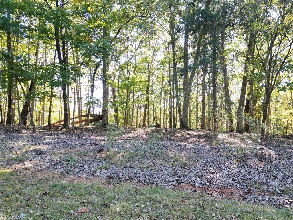 232 Sierra Trace Road Denton, NC 27239 - Photo 12 of 29