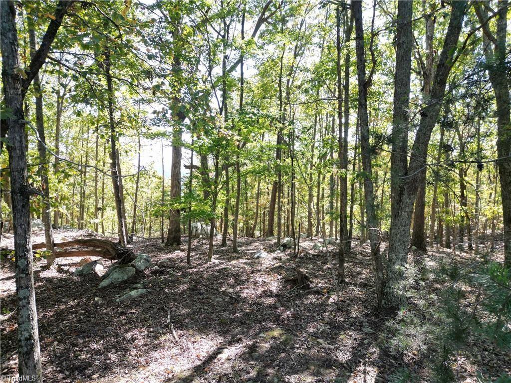 232 Sierra Trace Road Denton, NC 27239 - Photo 14 of 29