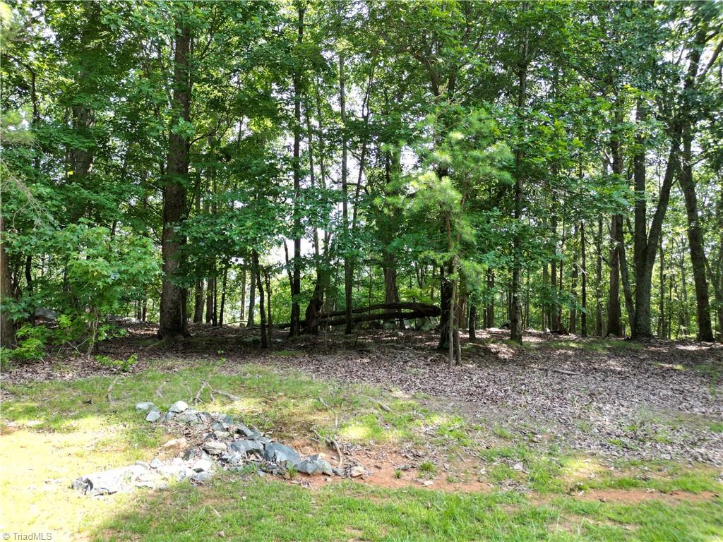 232 Sierra Trace Road Denton, NC 27239 - Photo 16 of 29