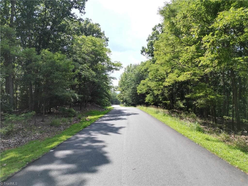 232 Sierra Trace Road Denton, NC 27239 - Photo 5 of 29