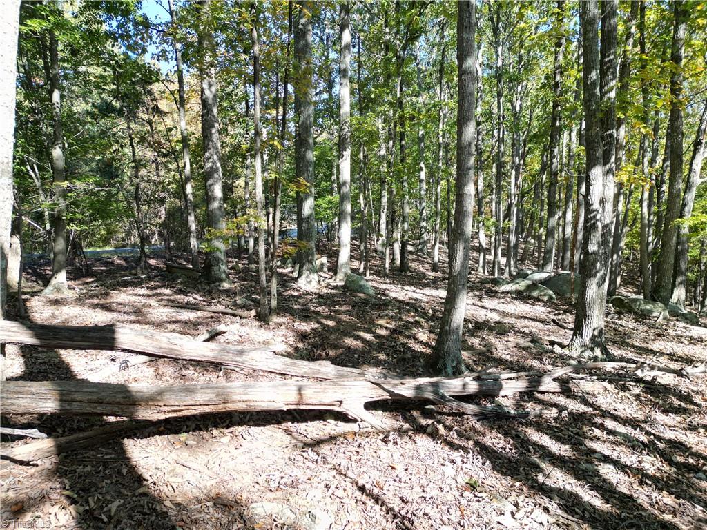 232 Sierra Trace Road Denton, NC 27239 - Photo 7 of 29