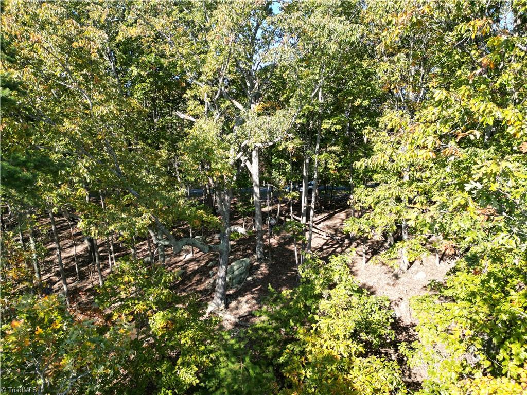 232 Sierra Trace Road Denton, NC 27239 - Photo 8 of 29