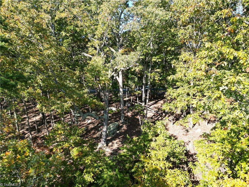 232 Sierra Trace Road Denton, NC 27239 - Photo 9 of 29