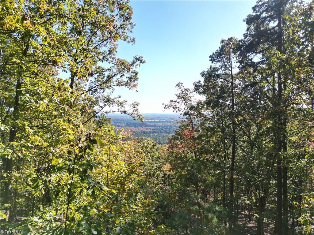 232 Sierra Trace Road Denton, NC 27239 - Photo 10 of 29